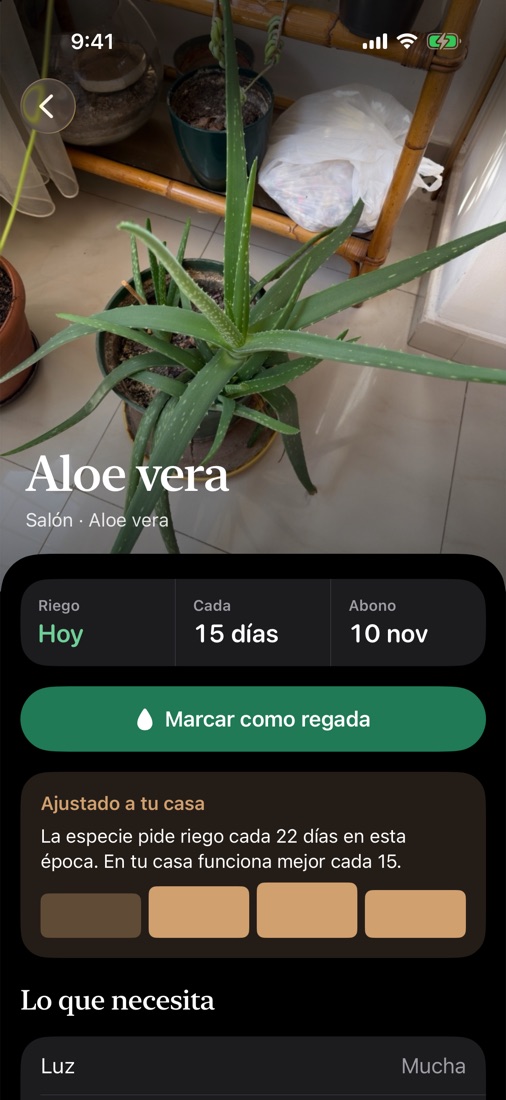 Ficha de una planta con su foto, el próximo riego y lo que necesita.
