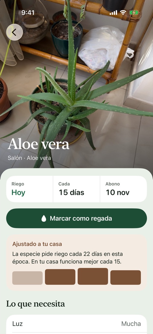 Ficha de una planta con su foto, el próximo riego y lo que necesita.