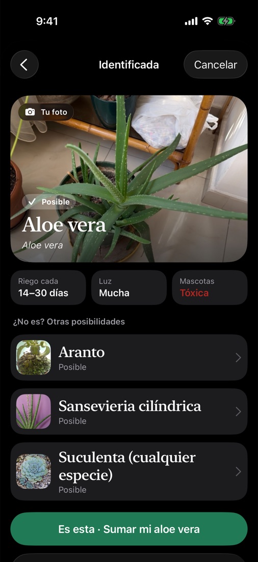 Resultado de identificar una planta con su foto, su nombre y sus datos de riego, luz y toxicidad.