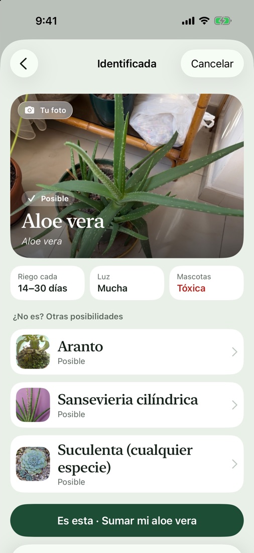 Resultado de identificar una planta con su foto, su nombre y sus datos de riego, luz y toxicidad.