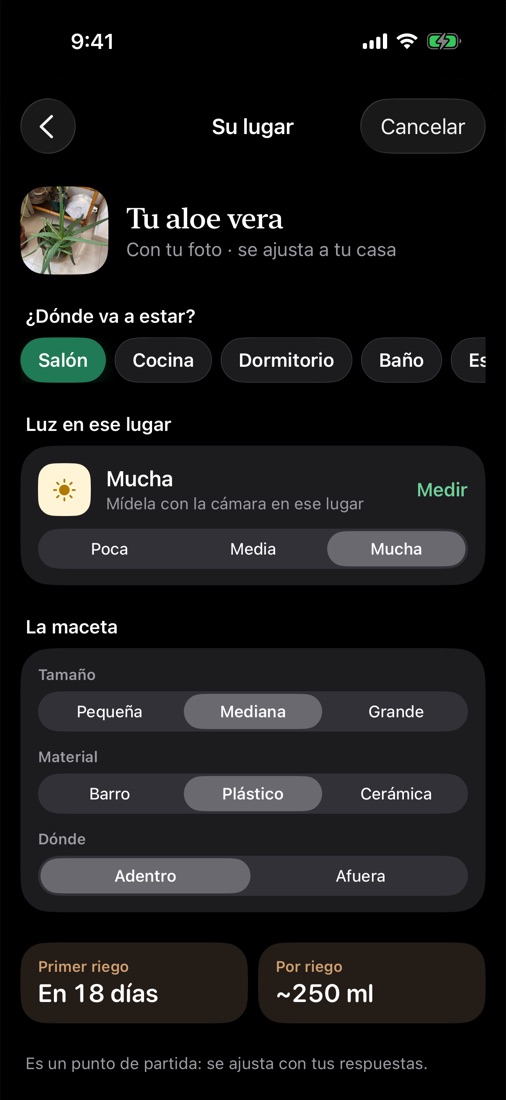Paso Su lugar: habitación, luz del lugar, maceta y la estimación de riego.