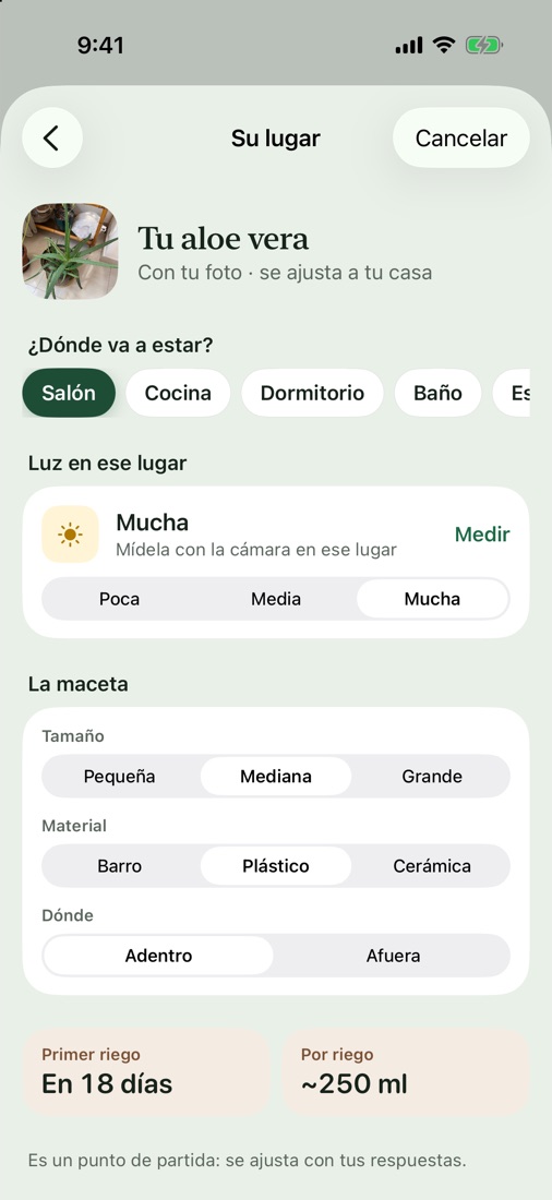 Paso Su lugar: habitación, luz del lugar, maceta y la estimación de riego.