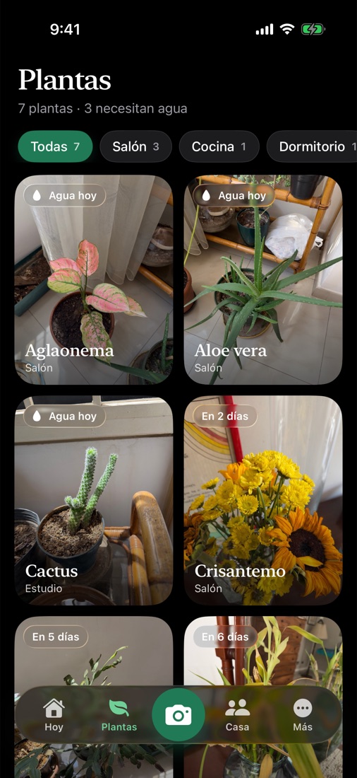 Cuadrícula de plantas con las fotos del usuario y cuándo toca regar cada una.