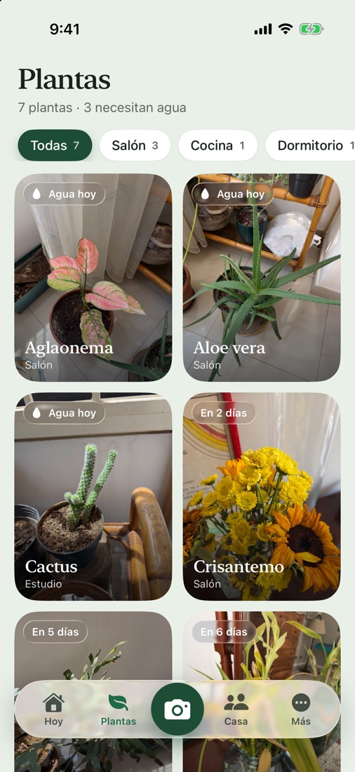 Cuadrícula de plantas con las fotos del usuario y cuándo toca regar cada una.
